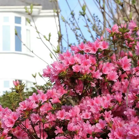 Edens Horizon Holiday home St Austell